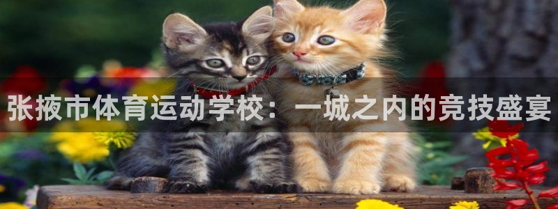 3377体育官方正版app娱乐