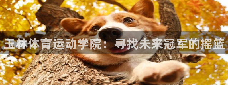 3377体育官网下载平台是正规平台吗知乎
