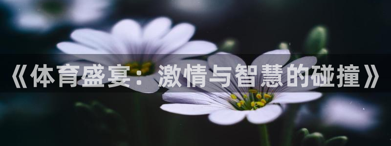 3377体育官网下载招商电话地址是多少：《体育盛宴：激情与智