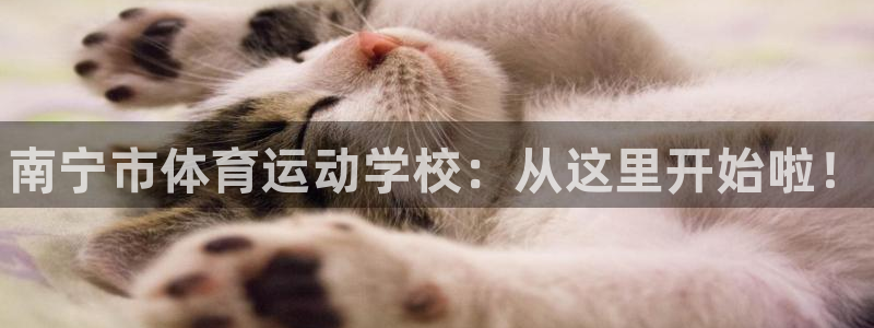 3377体育官网下载平台是正规平台吗知乎：南宁市体育运动学校