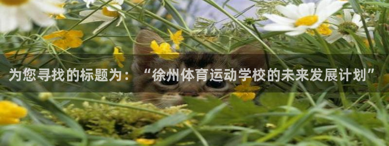 3377体育官网下载平台是正规平台吗安全吗：为您寻找的标题为