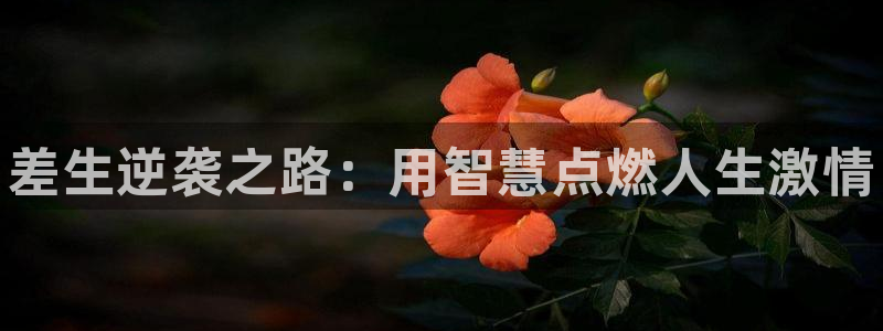 3377体育官网下载平台APP：差生逆袭之路：用智慧点燃人生