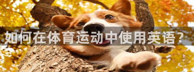 3377体育官网下载招商电话号码是多少