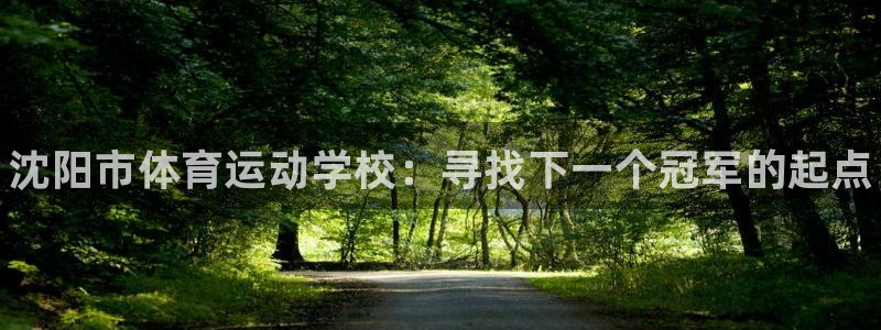 德国3377体育官方正版app集团：沈阳市体育运动学校：寻找