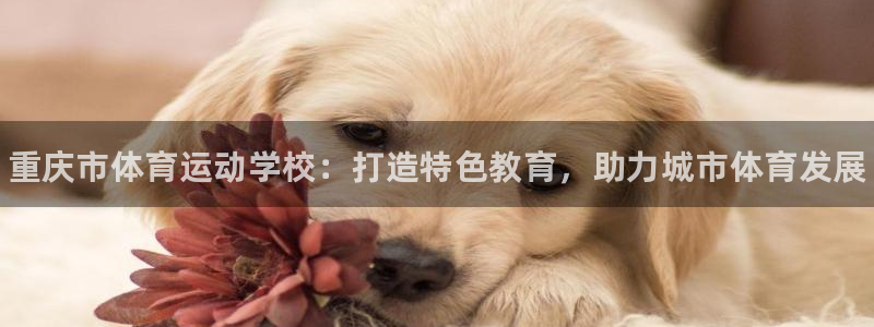 3377体育官方正版app集团官网首页网址：重庆市体育运动学