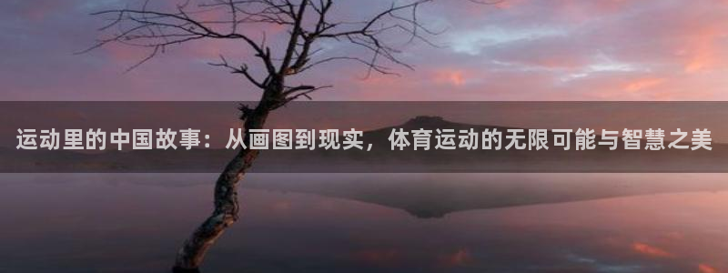 3377体育官方正版app娱乐下载：运动里的中国故事