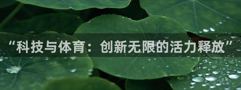 3377体育官方正版app娱乐首页官网下载：“科技与