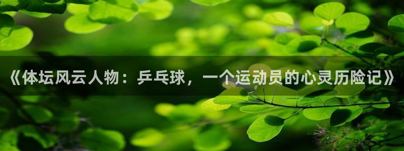 3377体育官网下载平台注册：《体坛风云人物：乒乓球