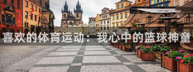 3377体育官方正版app娱乐代理怎么样：喜欢的体育运动：我