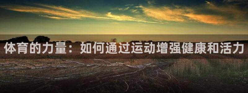 德国3377体育官方正版app集团：体育的力量：如何