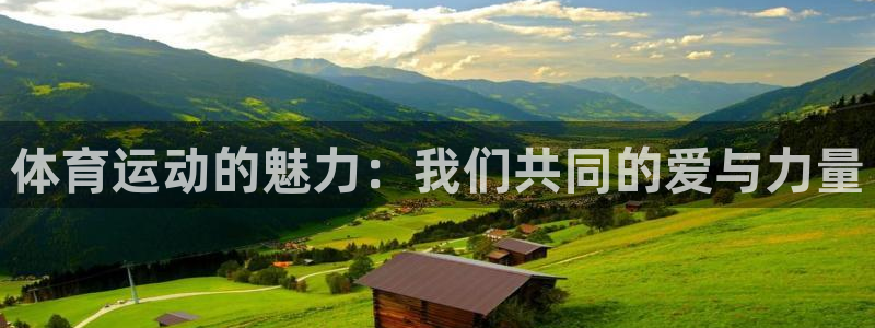 3377体育官方正版app官网：体育运动的魅力：我们
