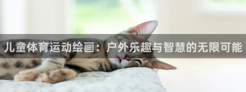 3377体育官方正版app娱乐平台：儿童体育运动绘画