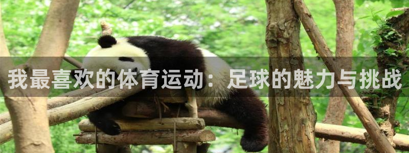 3377体育官网下载招商电话号码查询是多少：我最喜欢