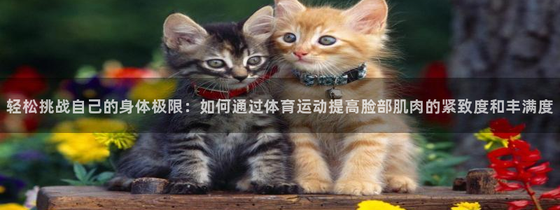 3377体育官网下载软件：轻松挑战自己的身体极限：如何通过体