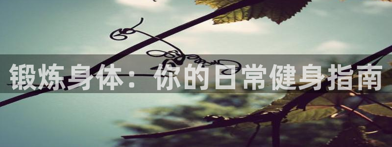 海南3377体育官网下载：锻炼身体：你的日常健身指南