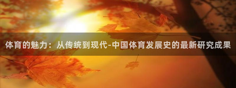 海南3377体育官网下载：体育的魅力：从传统到现代-中国体育