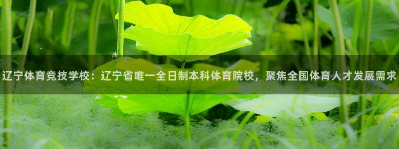 3377体育官网下载平台注册要钱吗是真的吗：辽宁体育竞技学校