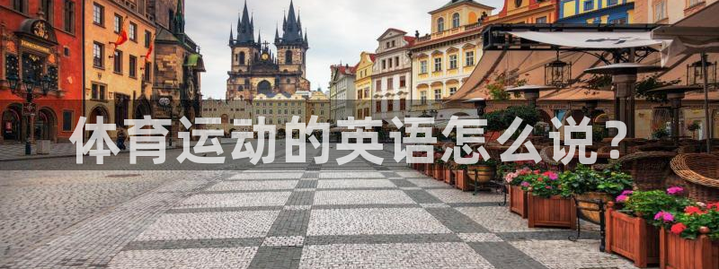 3377体育官网下载招商电话号码