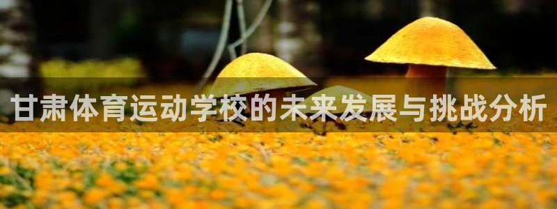 3377体育官网下载是干嘛的公司：甘肃体育运动学校的未来发展