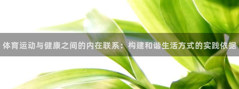  3377体育不出款：体育运动与健康之间的内在联系：构建和谐生