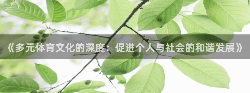 3377体育中国官方网站入口：《多元体育文化的深度：促进个人