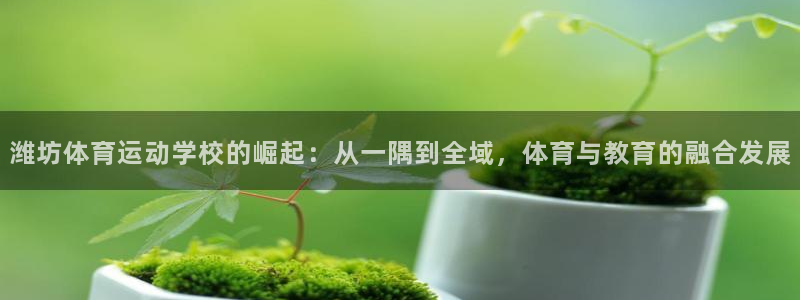 3377体育可信吗：潍坊体育运动学校的崛起：从一隅到全域，体