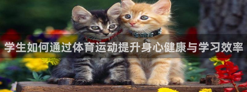 3377体育退款：学生如何通过体育运动提升身心健康与学习效率