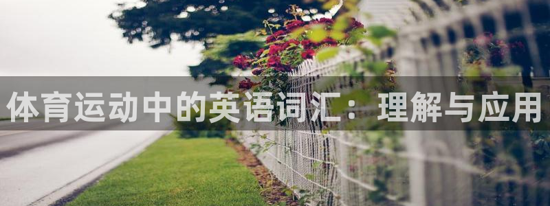  3377体育属于国家打击范围吗：体育运动中的英语词汇：理解与