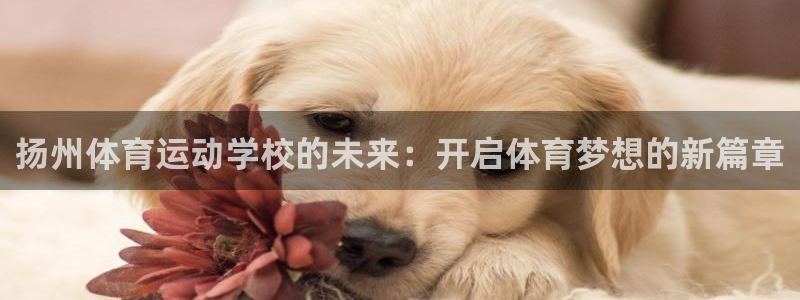  3377体育犯法吗：扬州体育运动学校的未来：开启体育梦想的新