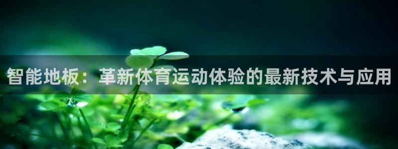  3377体育被国家取消了吗：智能地板：革新体育运动体验的最新