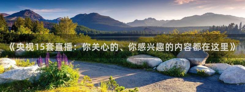 jrs小九篮球直播：《央视15套直播：你关心的、你感兴趣的内容都在这里》