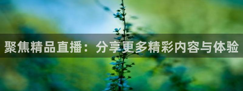 小九足球直播免费观看：聚焦精品直播：分享更多精彩内容与体验